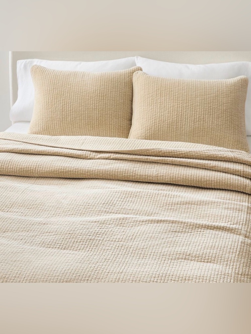 West Elm Washed Cotton Velvet Standard Shams Camel Set of 2 Pair Duo